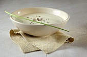 Sour cream soup with caraway seeds