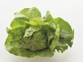A lettuce with drops of water