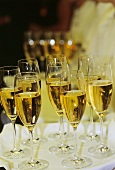 Sparkling wine in glasses