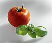 A tomato with drops of water and basil