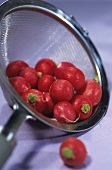 Freshly-washed radishes in a sieve