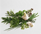 Still life with various culinary herbs and garlic