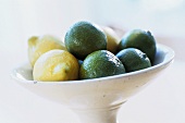 Lemons and limes in a white dish