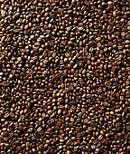 Coffee beans (full-frame)