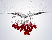 Redcurrants falling into water