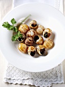 Cooked snails with parsley and garlic