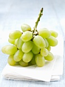 Green grapes on napkin