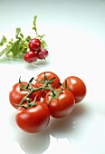 Tomatoes and radishes