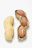 Unshelled peanut and peanuts in opened shell