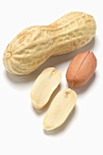 Unshelled peanut and shelled peanuts