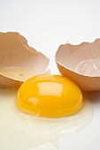 Egg, cracked open (egg yolk and eggshell)