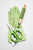 Green rubber gloves and garden tools