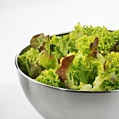Green salad in stainless steel bowl