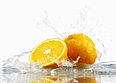 Oranges with splashing water