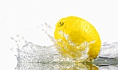 Lemon with splashing water