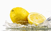 Zitronen, von Wasser umspült