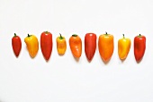 Sweet Peppers in a Row on White Background