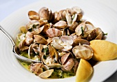 Clams with olive oil and herbs