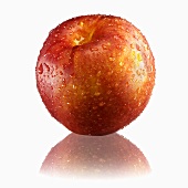 Nectarines with drops of water and reflection