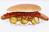 Hot Dog mit Ketchup, Mayonnaise und Essiggurken