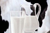 Milk in glass and glass jug