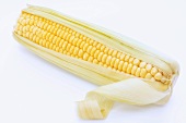 Corn on the cob with husks