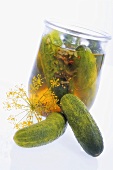 Fresh pickles and dill pickles in preserving jar