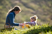 Mother and daughter in meadow with fruit juice