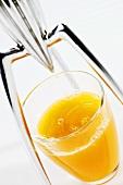 Orange juice with citrus squeezer