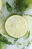 Limes in block of ice (close-up)