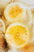 Oranges in block of ice (overhead view)