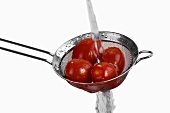 Washing tomatoes in a sieve