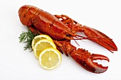 Lobster with slices of lemon