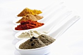 Various spices on spoons (ground pepper, paprika, curry powder)