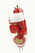 Sparkling wine with fresh strawberries