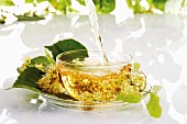 Pouring lime blossom tea into glass cup