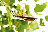 Lime blossom honey dripping from spoon