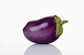 Purple baby aubergine