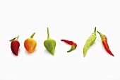 Various chillies