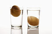 Zwei Eier in Wassergläsern (Eierfrischetest)