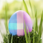 Multi-Colored Easter Egg on Moss