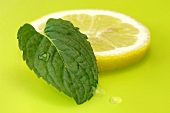 Lemon slice and mint leaf, close-up