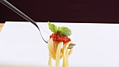 Spaghetti with tomato sauce and basil on fork