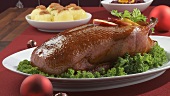 Rotkohl, Kartoffelknödel und Entenbraten zu Weihnachten