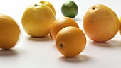 Rolling citrus fruit