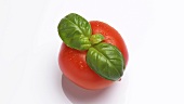 A rotating tomato with basil leaves