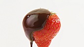A strawberry with chocolate icing
