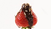 A strawberry with chocolate icing and grated coconut