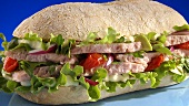A tuna sandwich