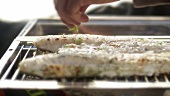 Sprinkling fish fillet on grill with herbs
